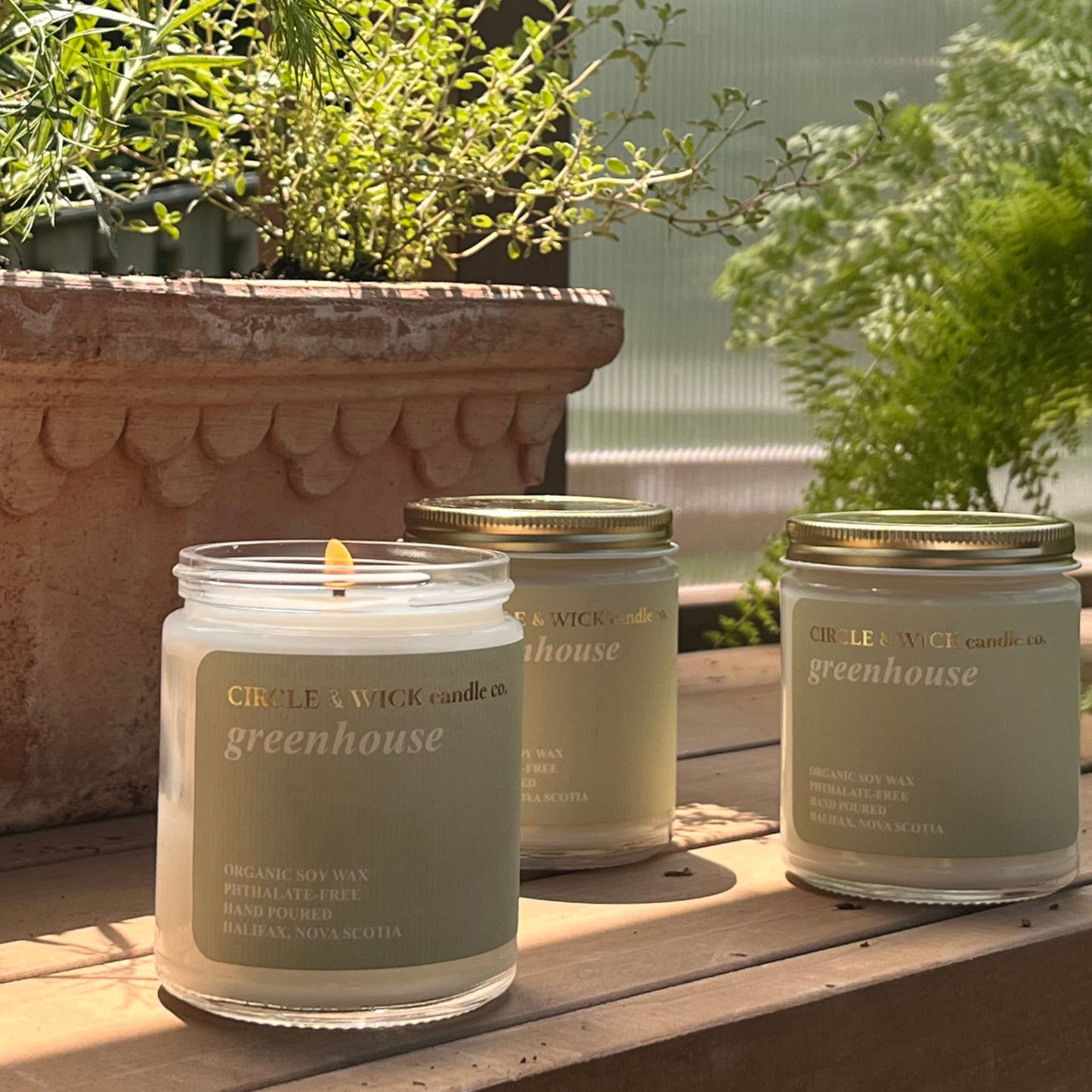 Greenhouse - 9oz Candle (Limited Edition)